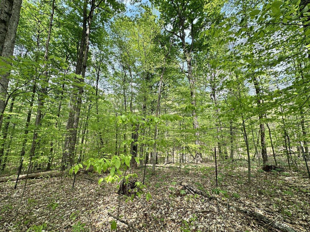 Picture 16
