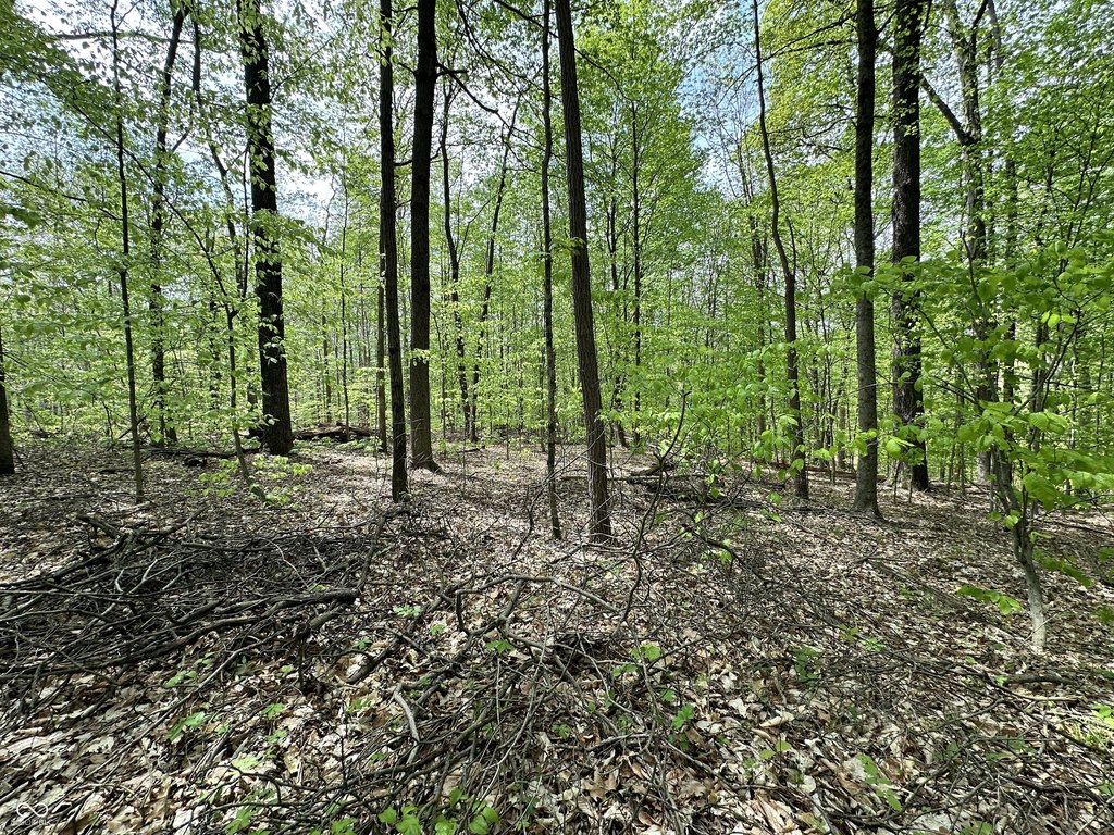 Picture 31