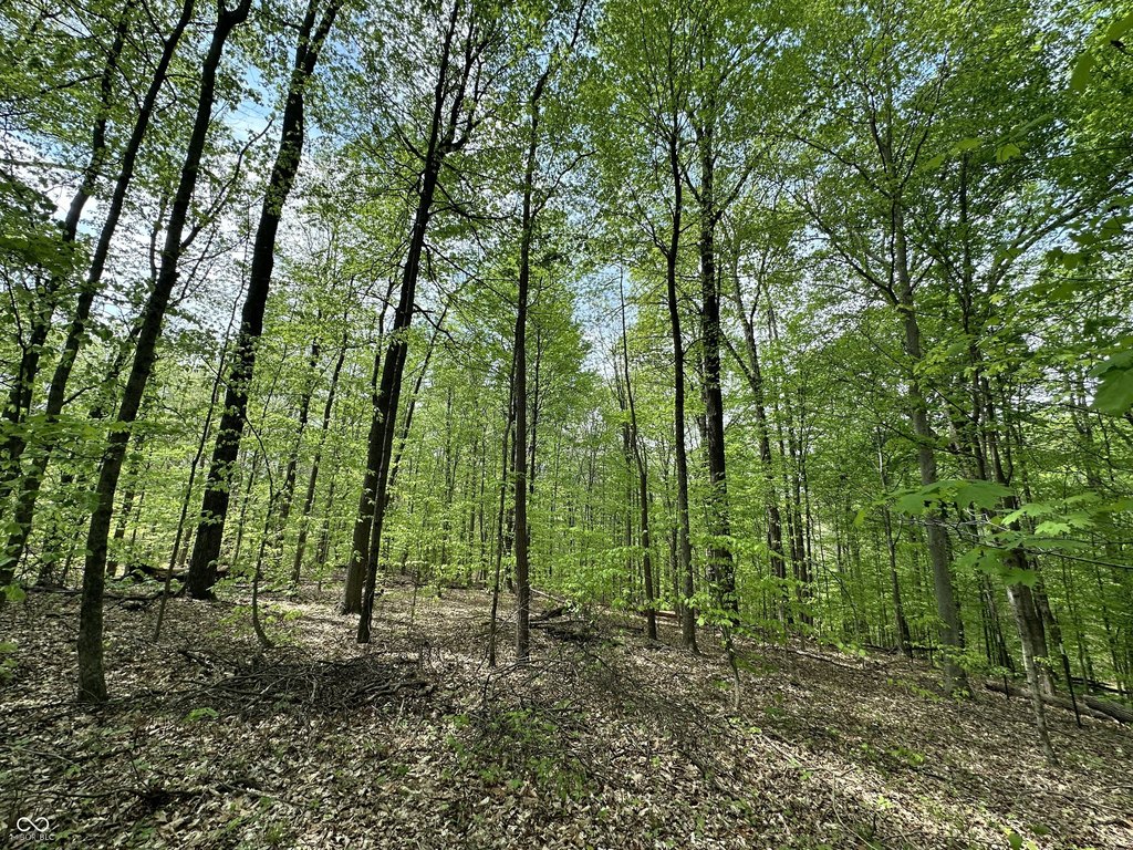 Picture 21