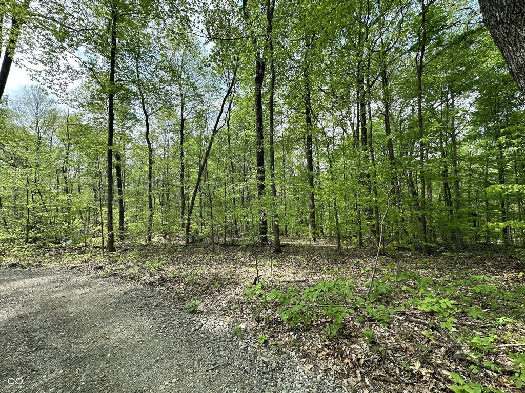 Picture 18