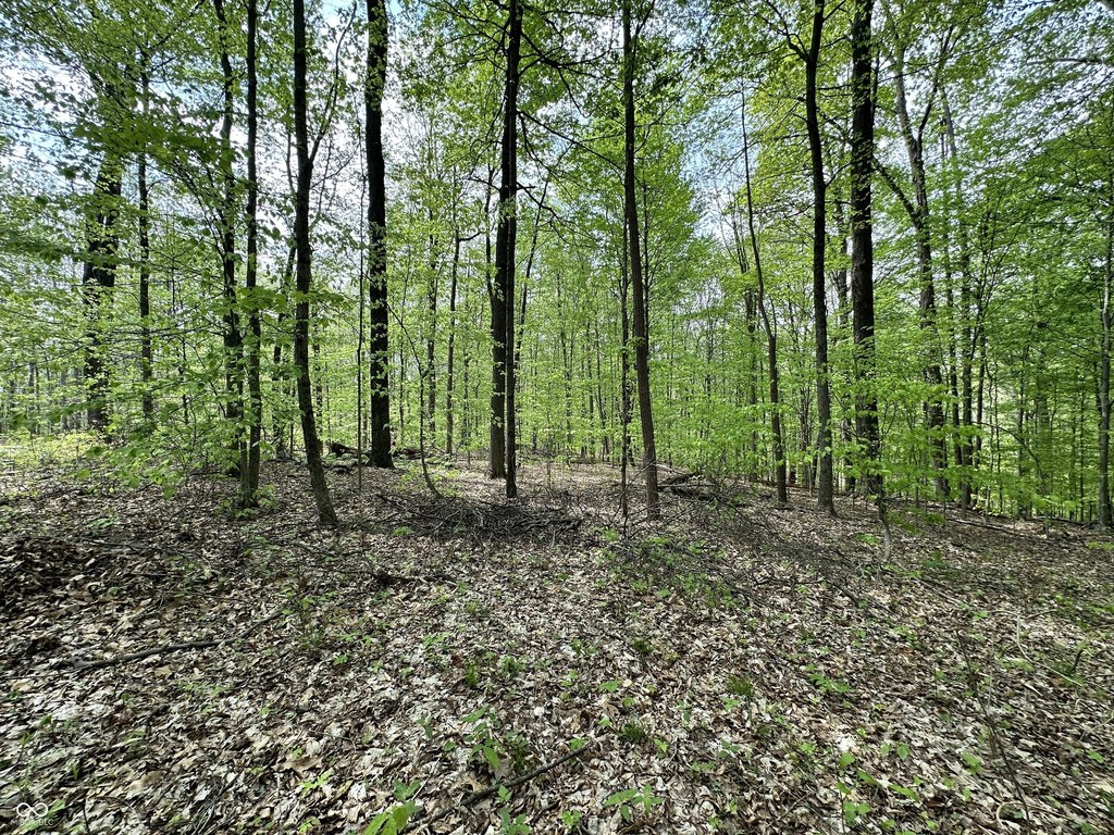 Picture 10