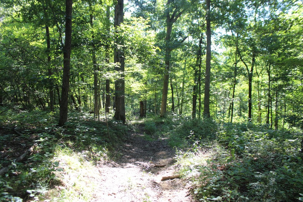 Picture 12