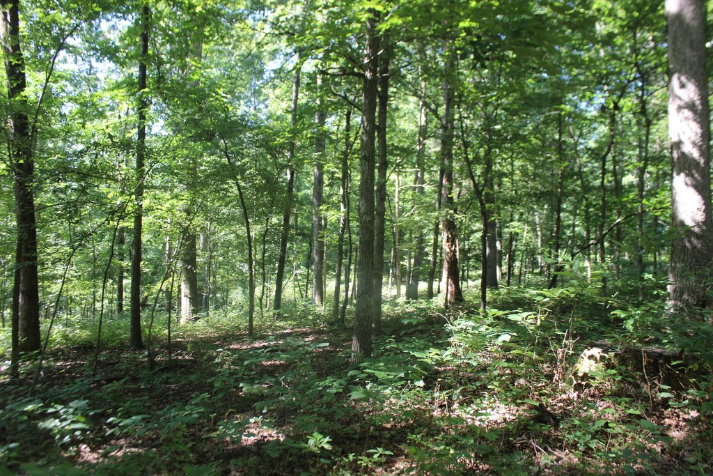 Picture 38