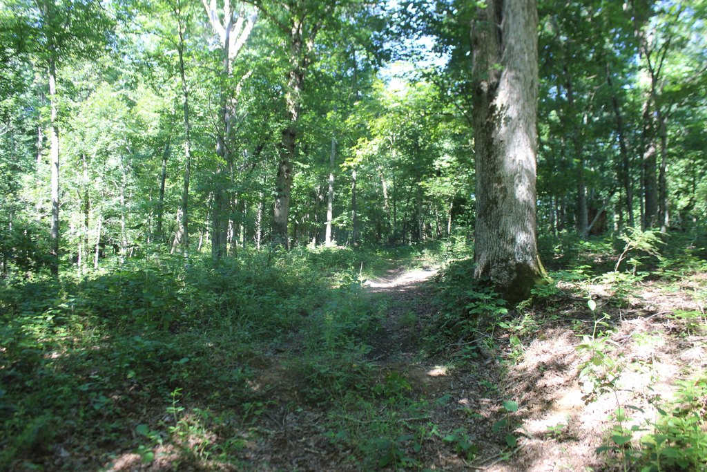 Picture 39