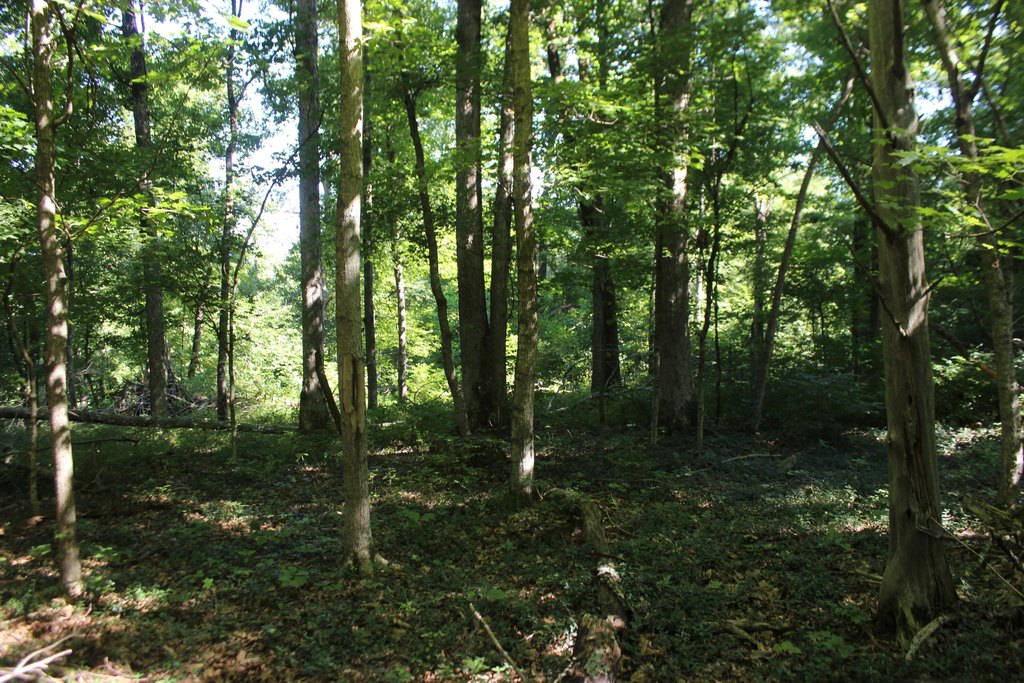 Picture 33