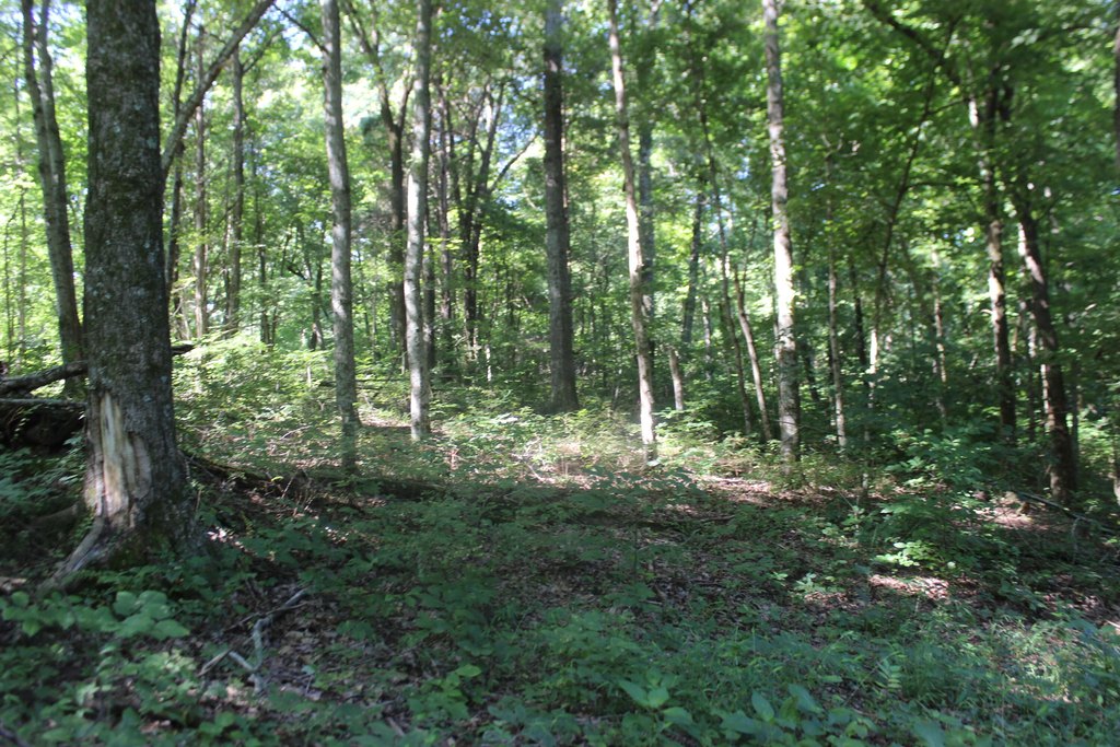 Picture 40