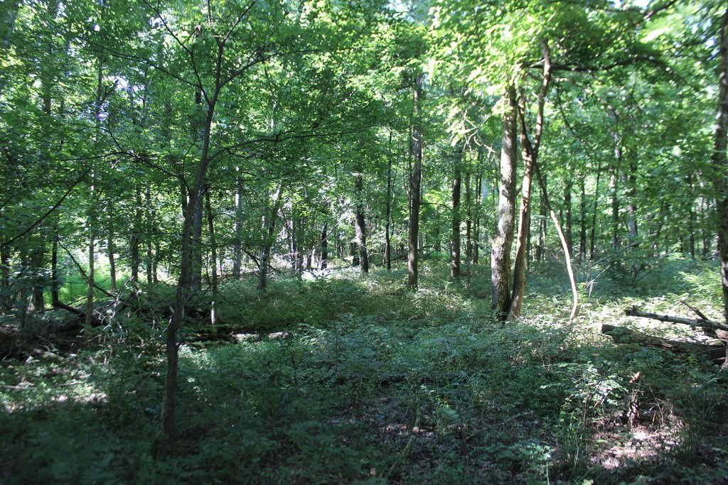 Picture 27