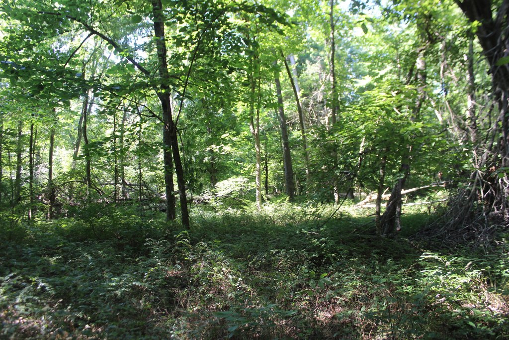 Picture 23