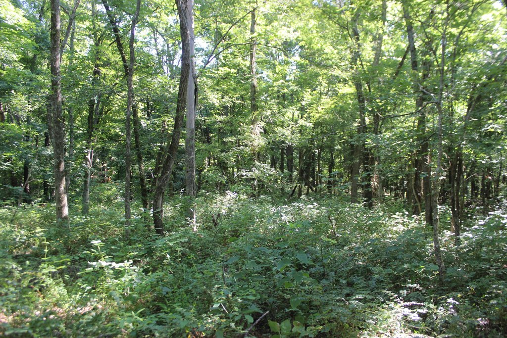 Picture 16