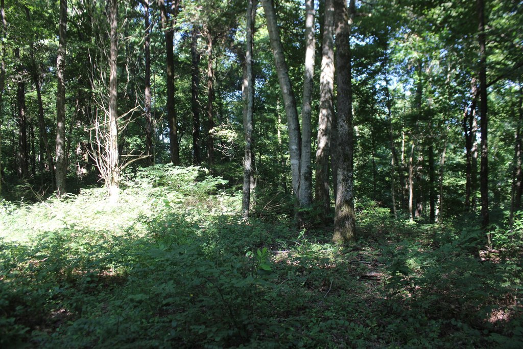 Picture 20