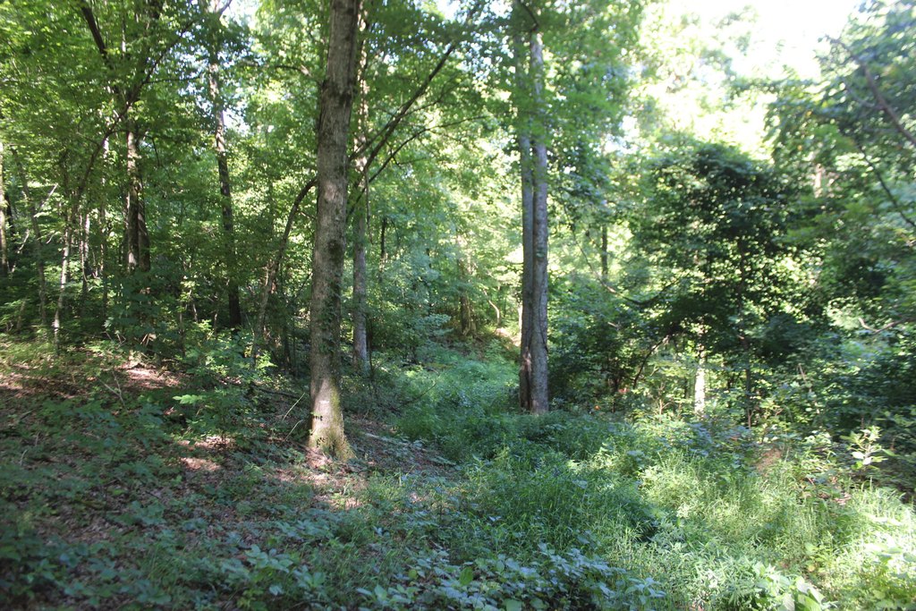 Picture 7