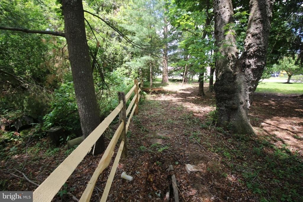 Picture 28