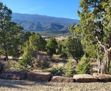 LAND - Tijeras, NM