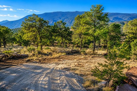 LAND - Tijeras, NM