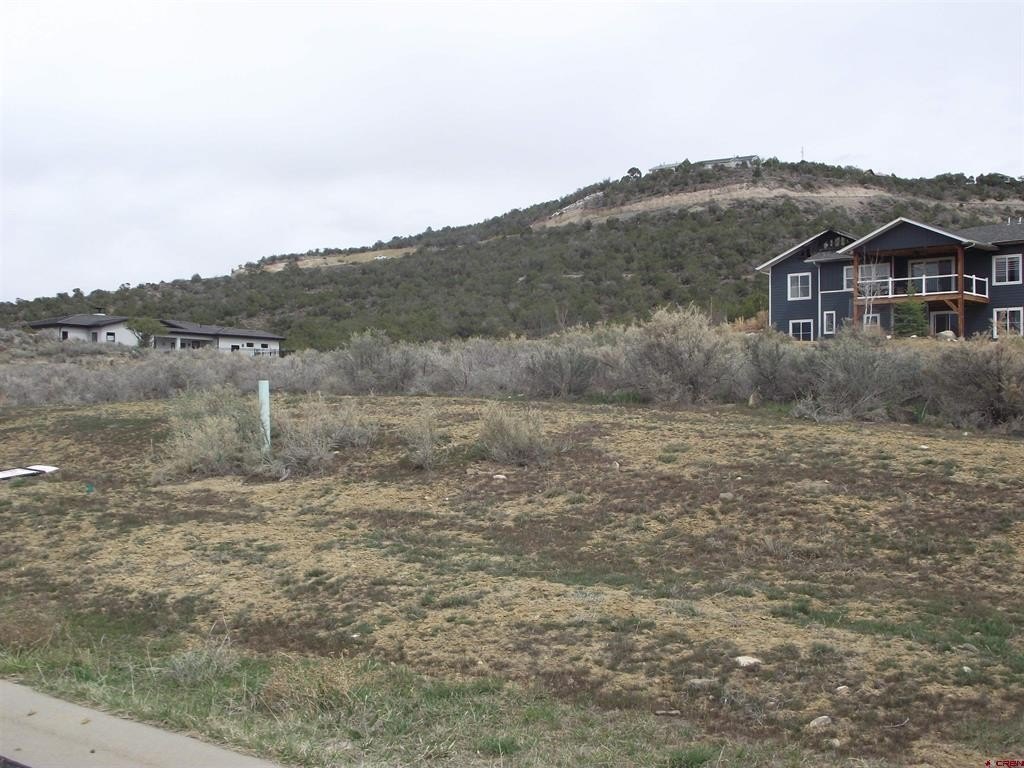Picture 4