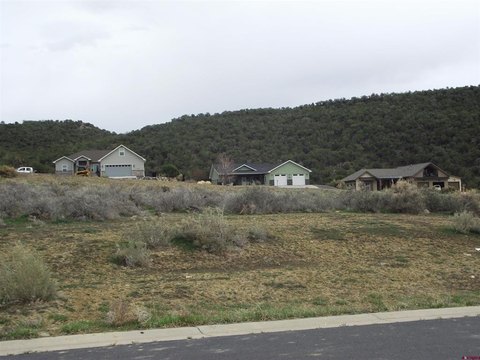 LAND, Cedaredge, CO