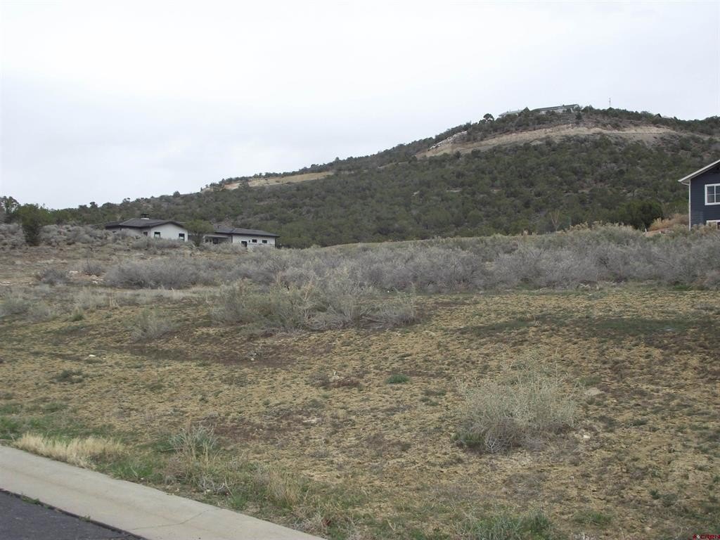 Picture 7