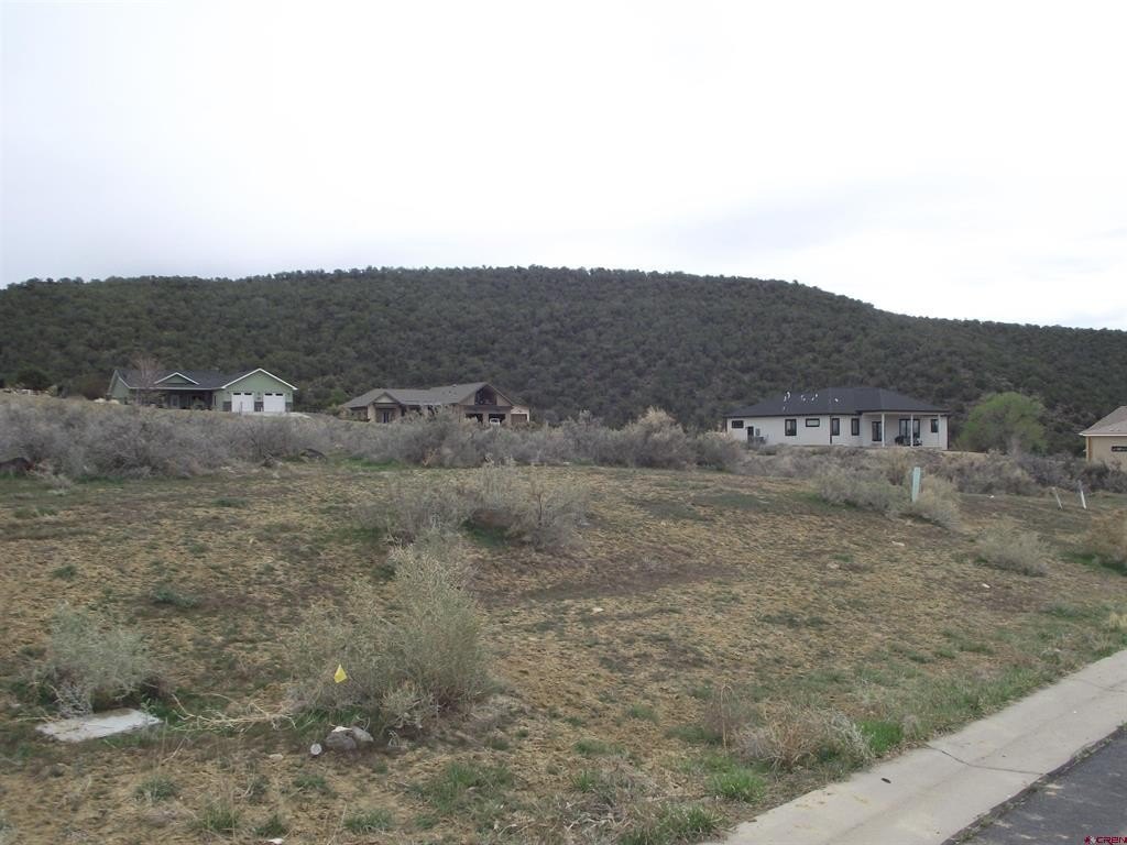 Picture 9