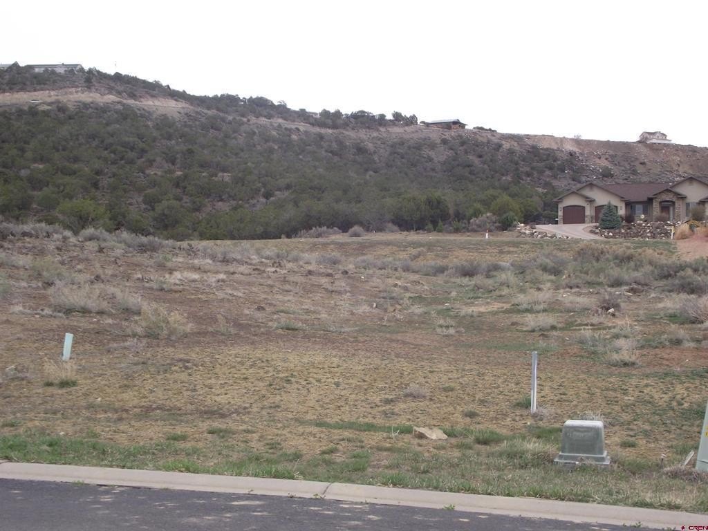 Picture 13