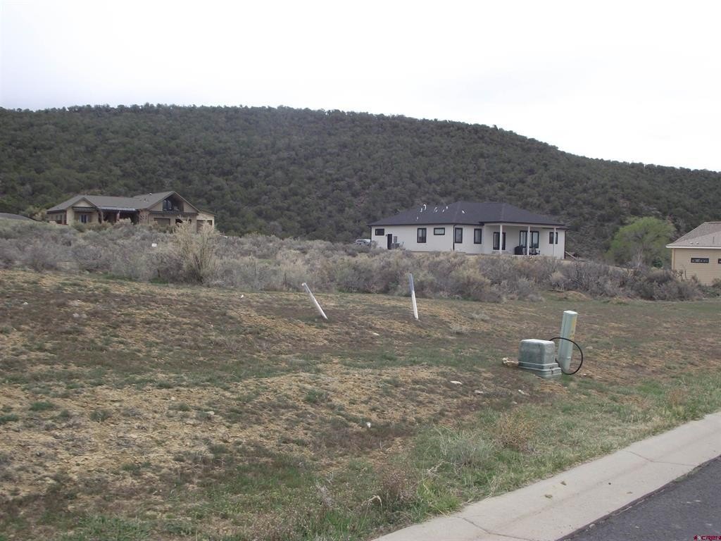 Picture 8