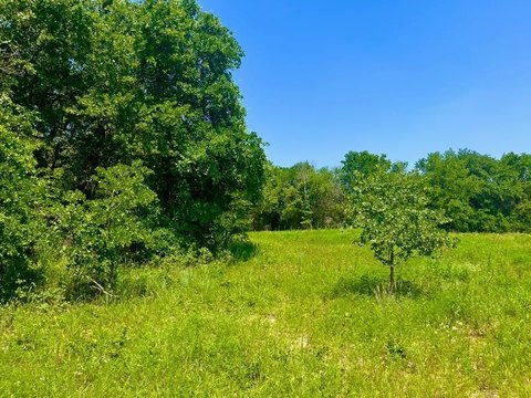 Scenic Hard-Corner Ranch Lot
