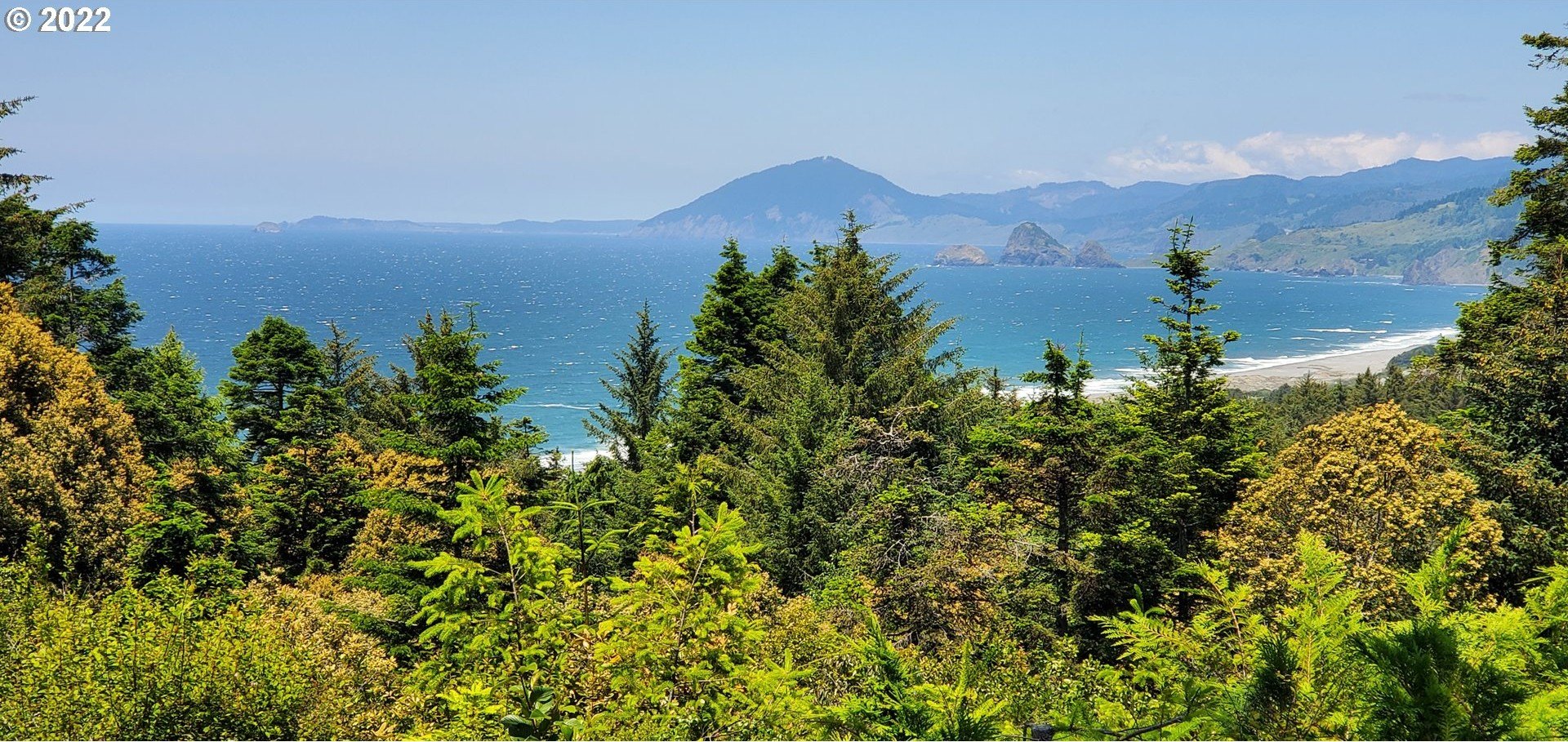 Coastal Acreage with Ocean Views