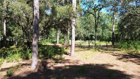 Dunnellon Land, No HOA