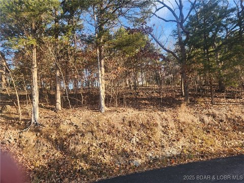 LAND - Osage Beach, MO