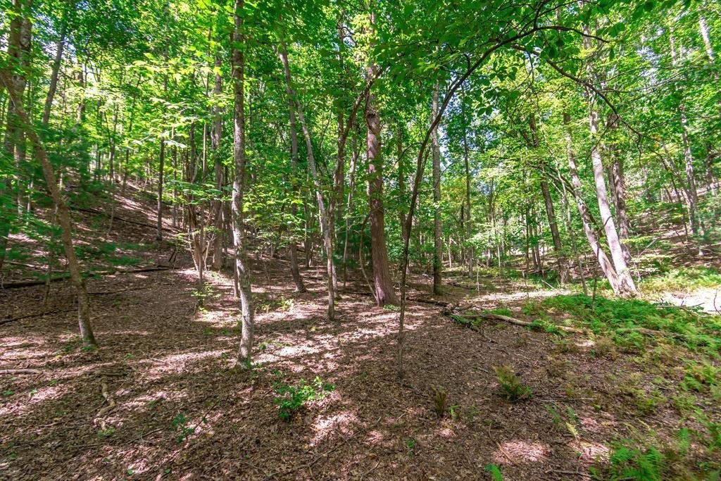 Morganton, GA Vacant Lot
