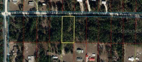 Land, Bronson, FL