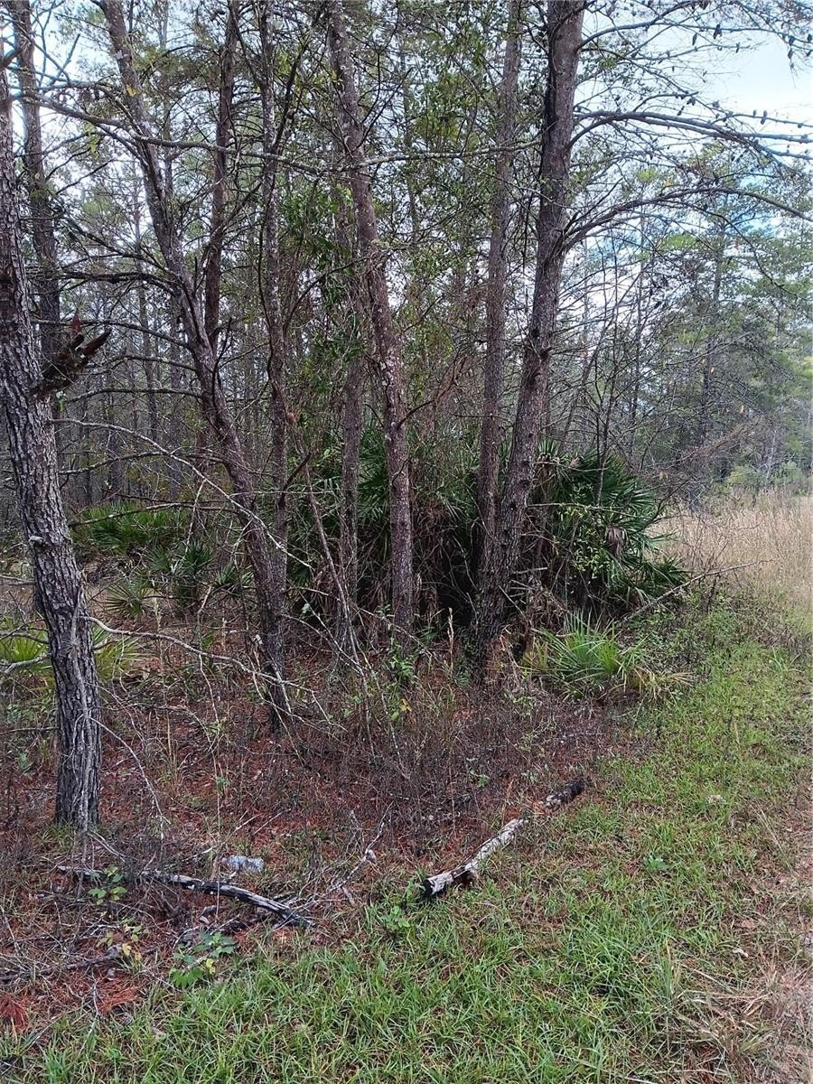 Vacant Land Near Shopping