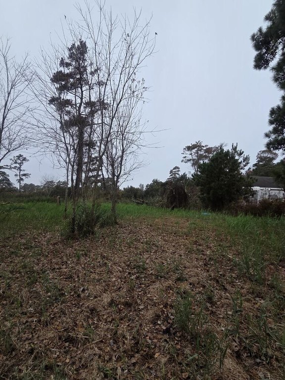 Picture 4