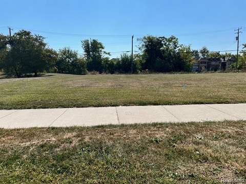Detroit Land Development Opportunity