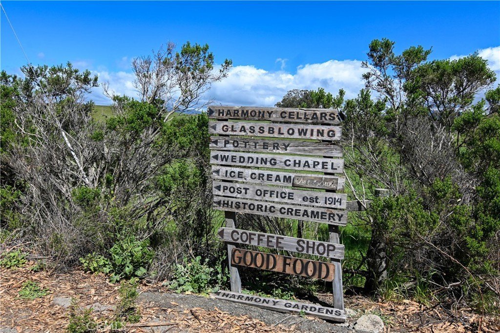 Picture 35