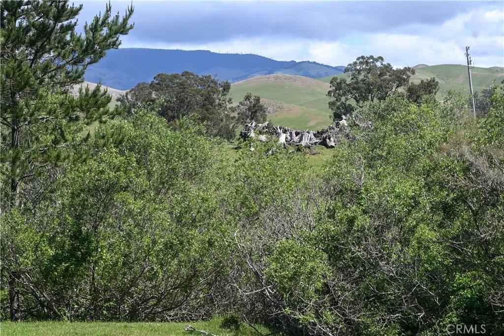 Picture 32