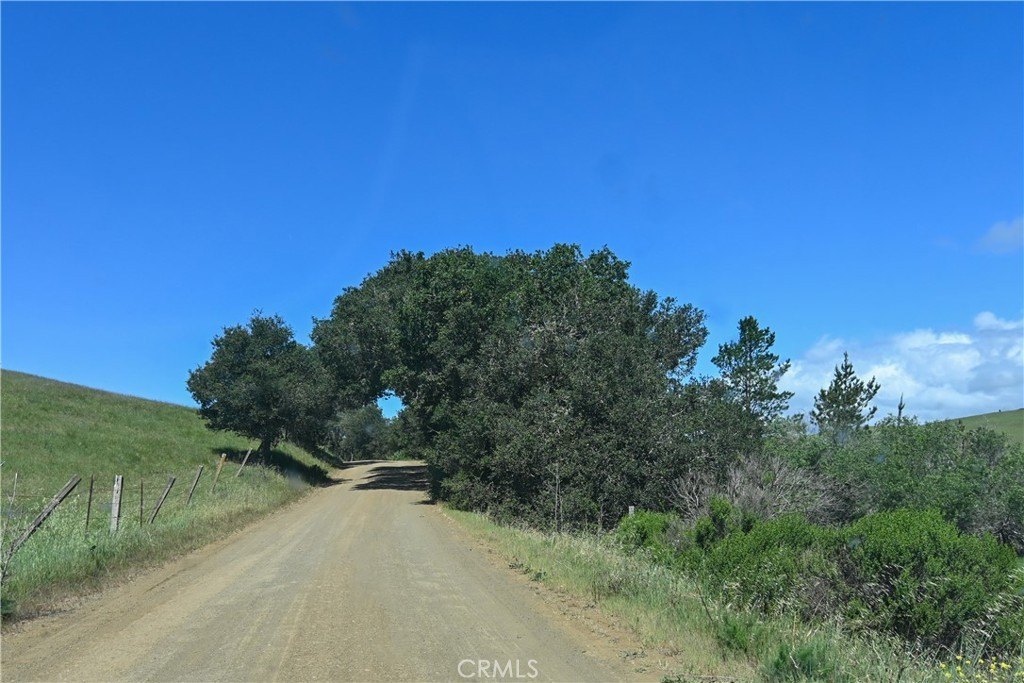 Picture 30
