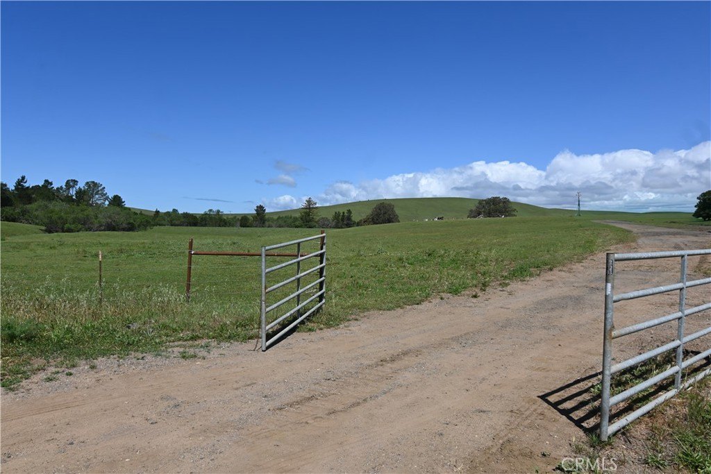 Picture 17