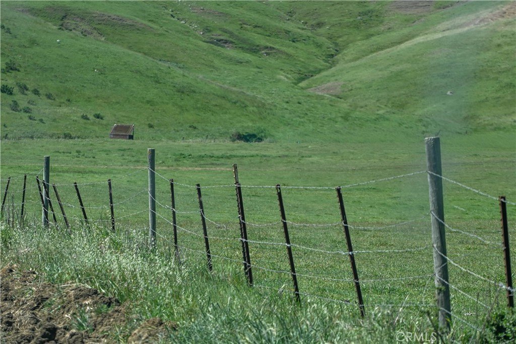 Picture 27
