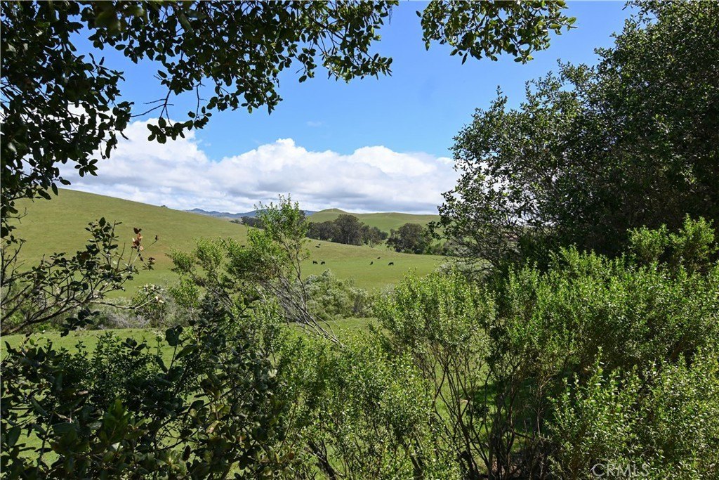 Picture 33