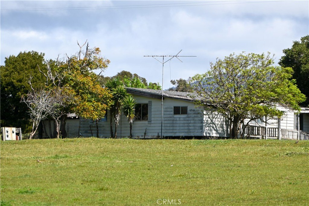 Picture 10