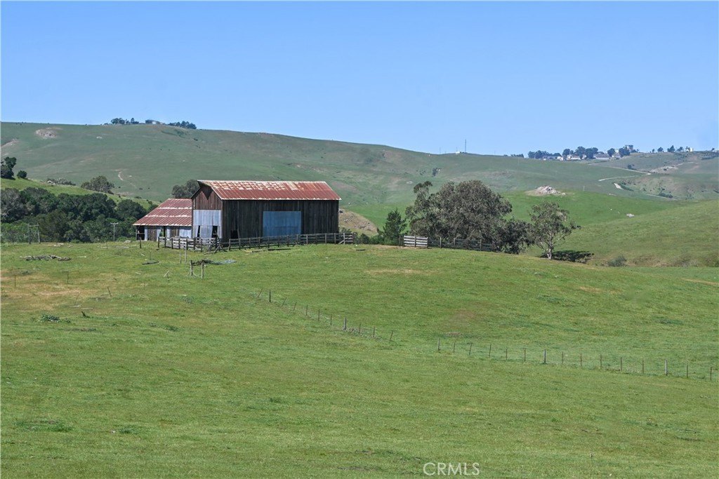 Picture 23