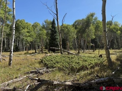 LAND, Cimarron, CO
