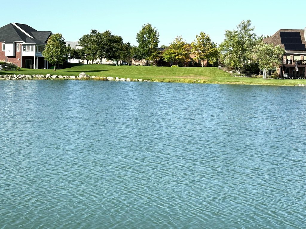 Picture 6