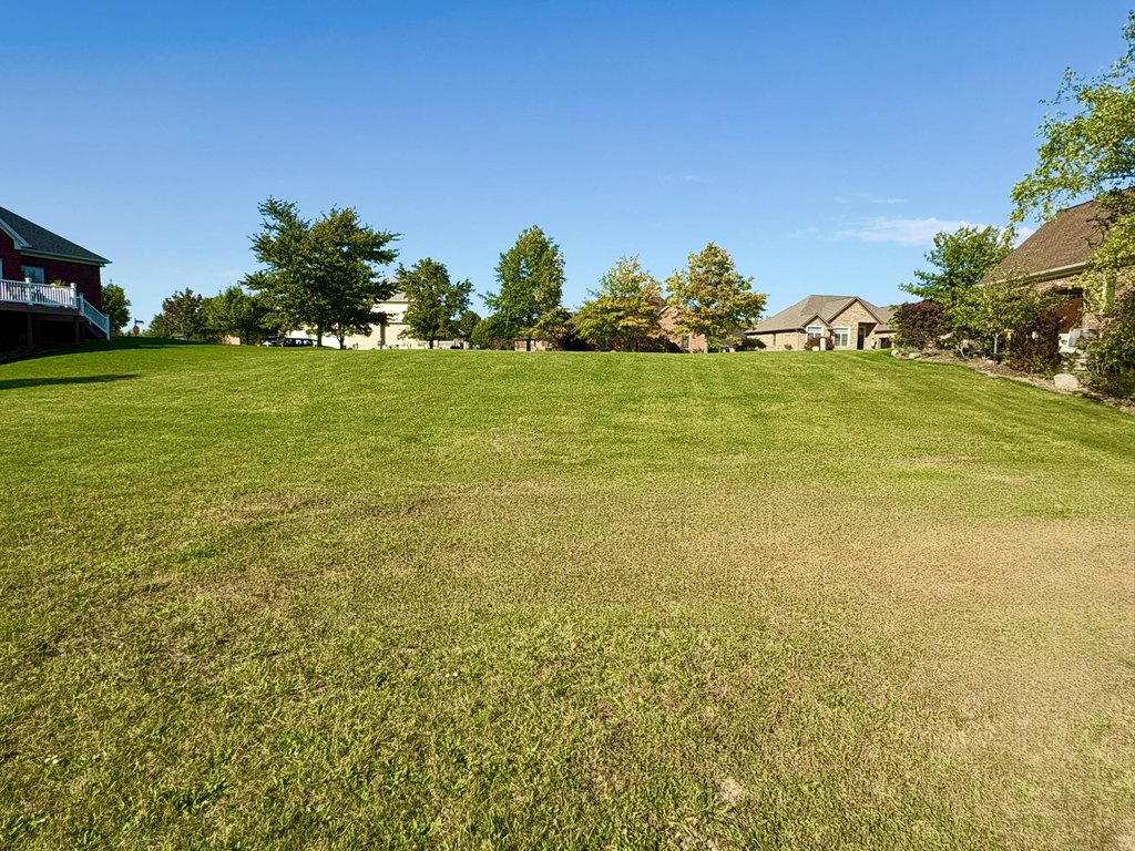 Picture 9