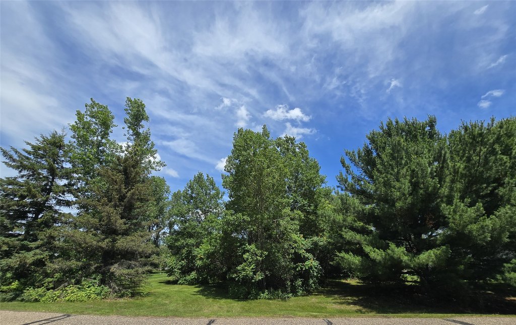 Picture 8