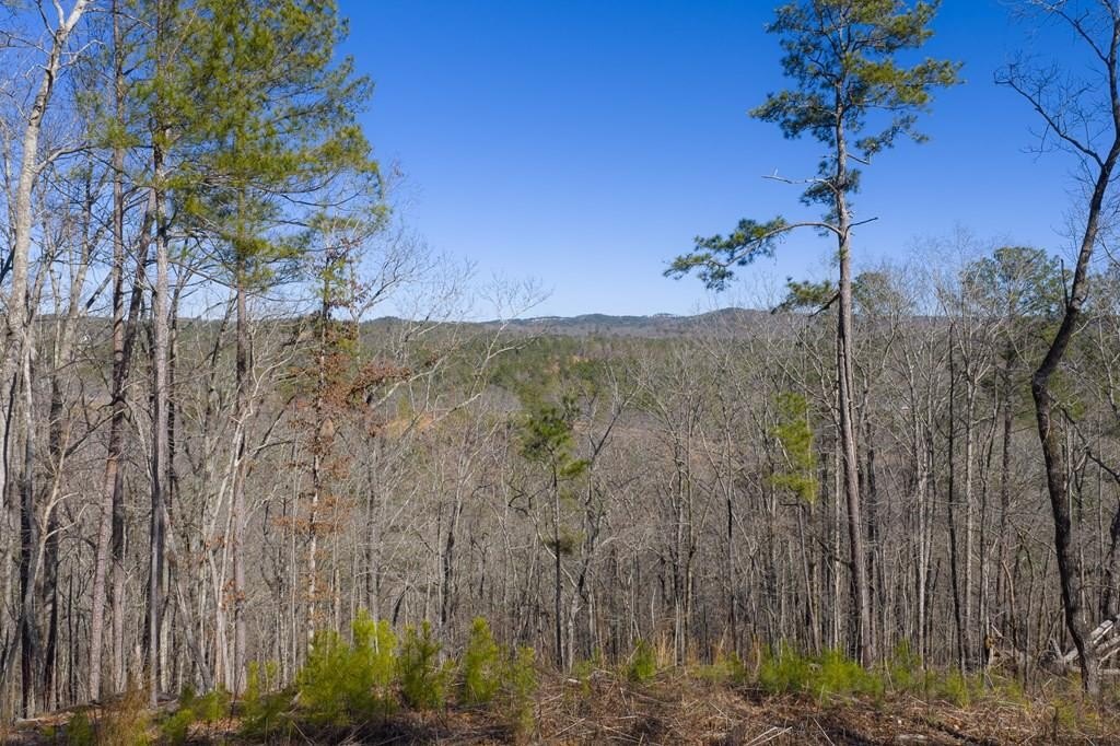 Sunrise View Estate Lot