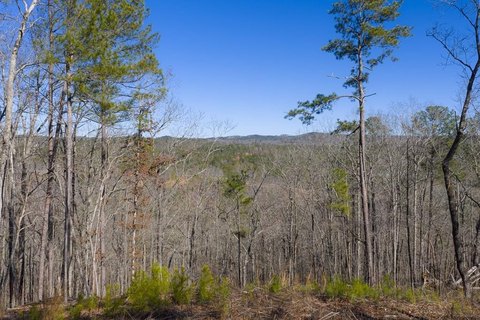 Sunrise View Estate Lot