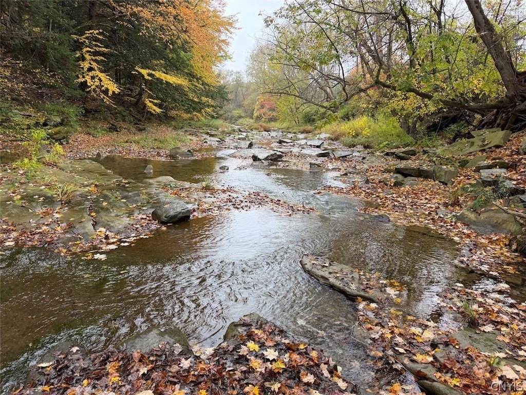Picture 21
