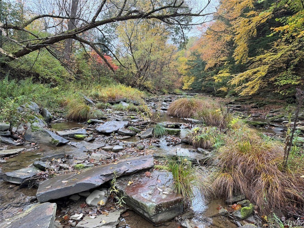 Picture 25