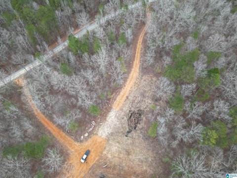 LAND/LOTS, PELL CITY, AL